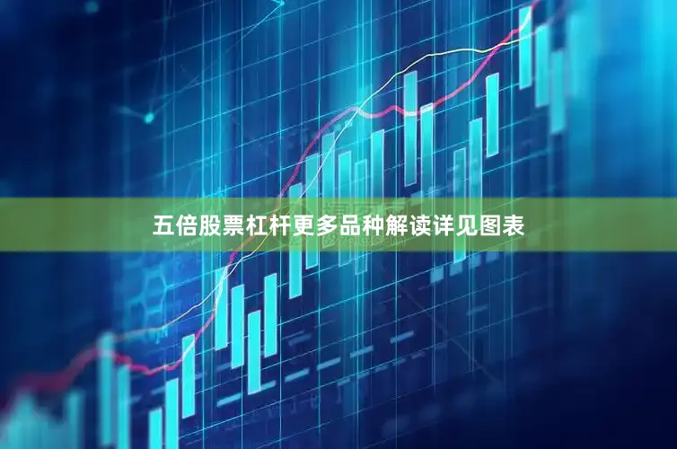 五倍股票杠杆更多品种解读详见图表