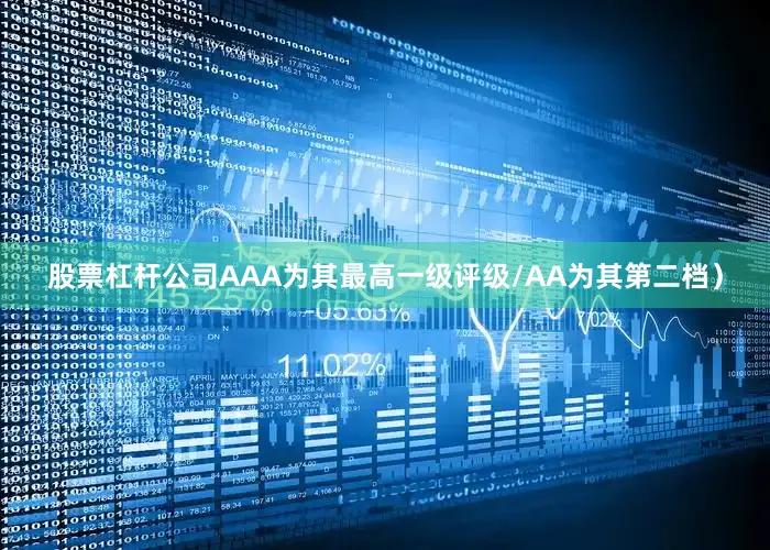股票杠杆公司AAA为其最高一级评级/AA为其第二档）